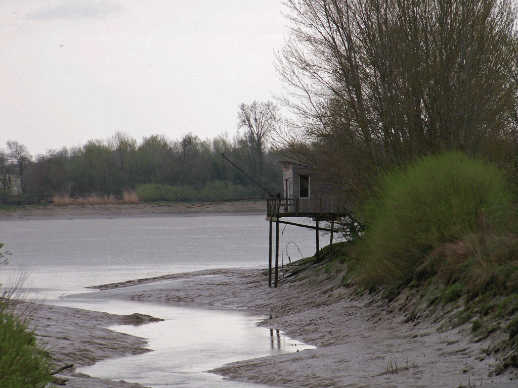 Carrelet sur la berge 