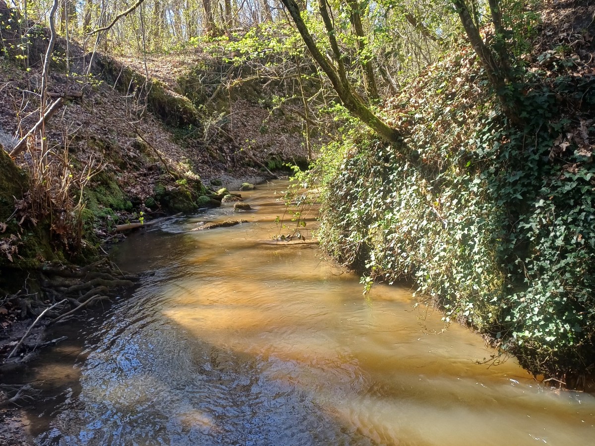 Ruisseau d&rsquo;Hestigeac à Martignas, une belle promenade&nbsp;printanière.